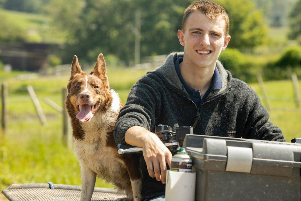 Top honour for young shepherd in British Farming Awards - Cumberland ...